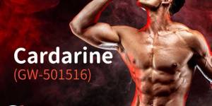 cardarine gw501516 australia